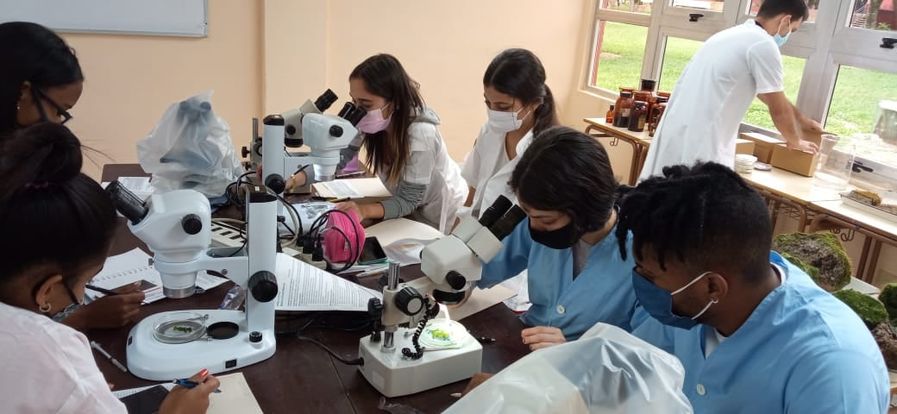 UdeLaHabana's tweet photo. Los trabajadores del @JBNUnivHabana crearon las condiciones para que hoy, 8 de noviembre se retomaran las clases presenciales. Esta vez en el #JardínBotánico, los estudiantes de @FbioUhCuba reciben los contenidos prácticos de varias asignaturas de #Botánica. 
@CubaMES @nicado3 https://t.co/wrNYPP4pLk