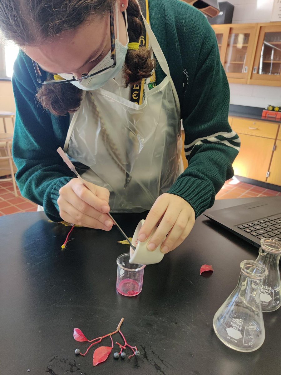 camdencatholic's tweet photo. Documenting Change in AP Chemistry:
The AP Chemistry class is using paper chromatography to separate pigments in different colored leaves to explain why leaves change color in the fall.
#ImagineCreateInnovate #STEMatCCHS https://t.co/AiH5W5fBbm