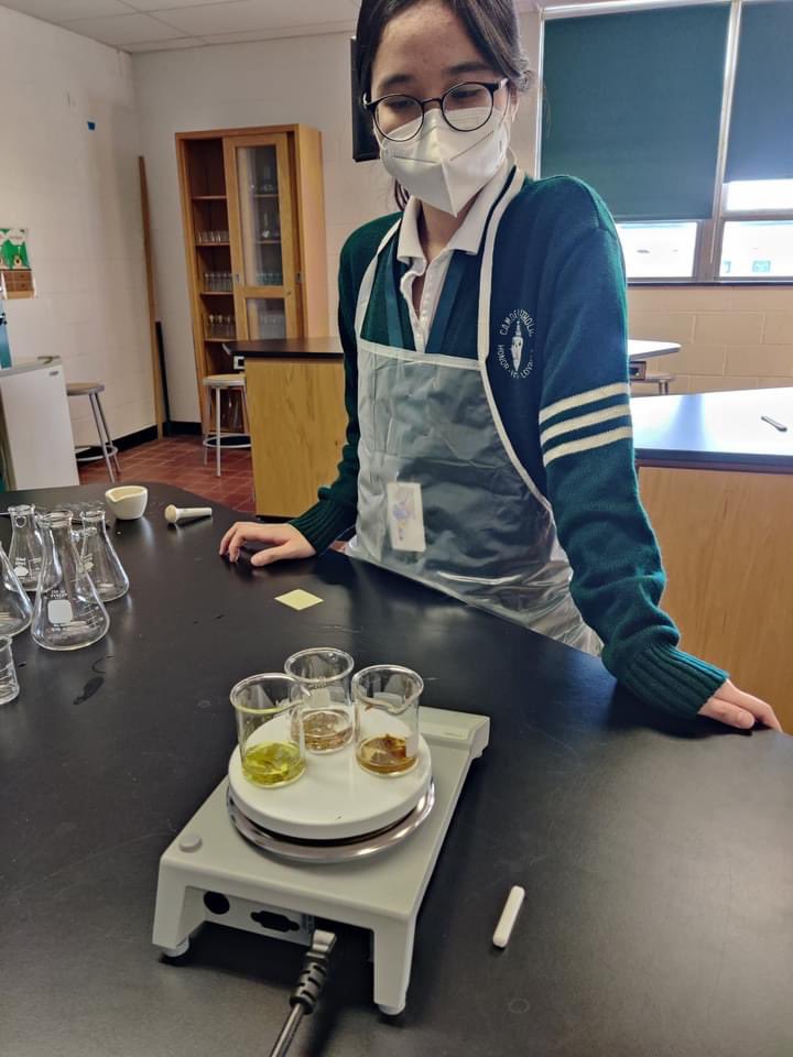 camdencatholic's tweet photo. Documenting Change in AP Chemistry:
The AP Chemistry class is using paper chromatography to separate pigments in different colored leaves to explain why leaves change color in the fall.
#ImagineCreateInnovate #STEMatCCHS https://t.co/AiH5W5fBbm