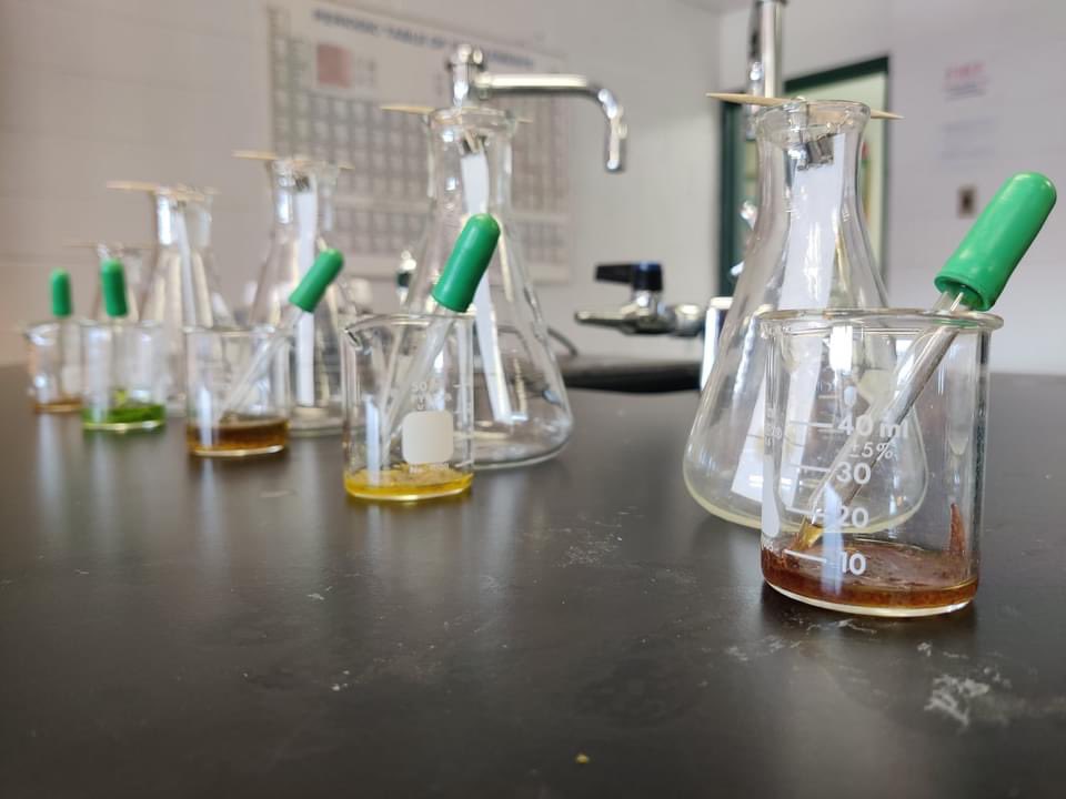 camdencatholic's tweet photo. Documenting Change in AP Chemistry:
The AP Chemistry class is using paper chromatography to separate pigments in different colored leaves to explain why leaves change color in the fall.
#ImagineCreateInnovate #STEMatCCHS https://t.co/AiH5W5fBbm
