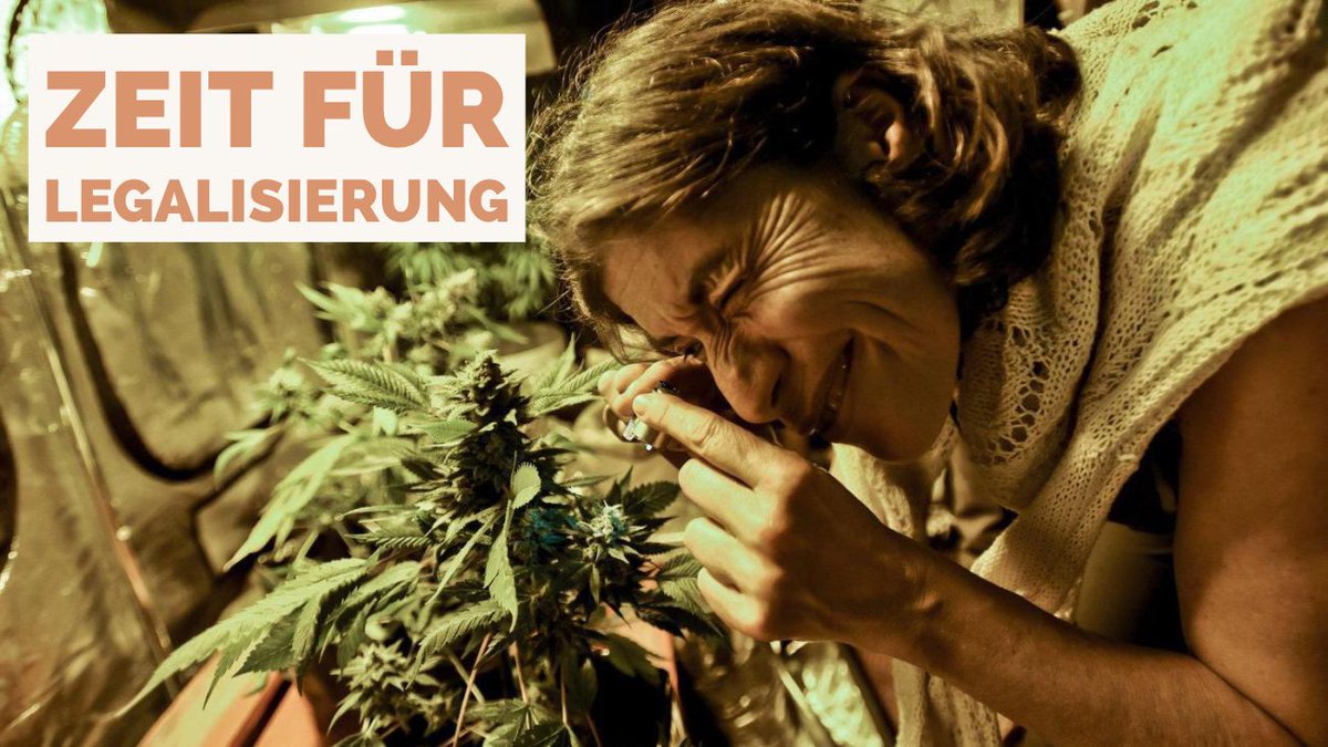 DHV_Regensburg's tweet photo. Danke an alle, die mitgemacht haben 🥰 Wir hoffen, dass die  #LegalisierungJetzt dann bald kein Traum mehr ist, sondern mit Hilfe der Erfahrungen und Erkenntnisse aus den verschiedenen Fachbereichen und Ländern gut durchdacht umgesetzt wird. #ZeitFürLegalisierung https://t.co/0u4Wo4t2X5
