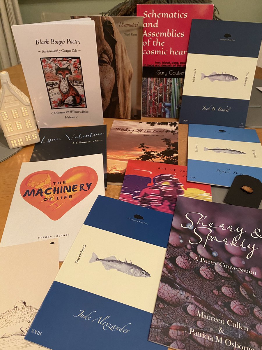 EatTheStorms's tweet photo. Today’s final close-up of the feast of poetry that flooded Lusk this morning comes from #poetry #podcast beloved returning guest @PMOsborneWriter and her #poetry conversation pamphlet with #MaureenCullen & also from @hedgehogpoetry @iudinwrites and #StephenBone https://t.co/rlENMcQTM1
