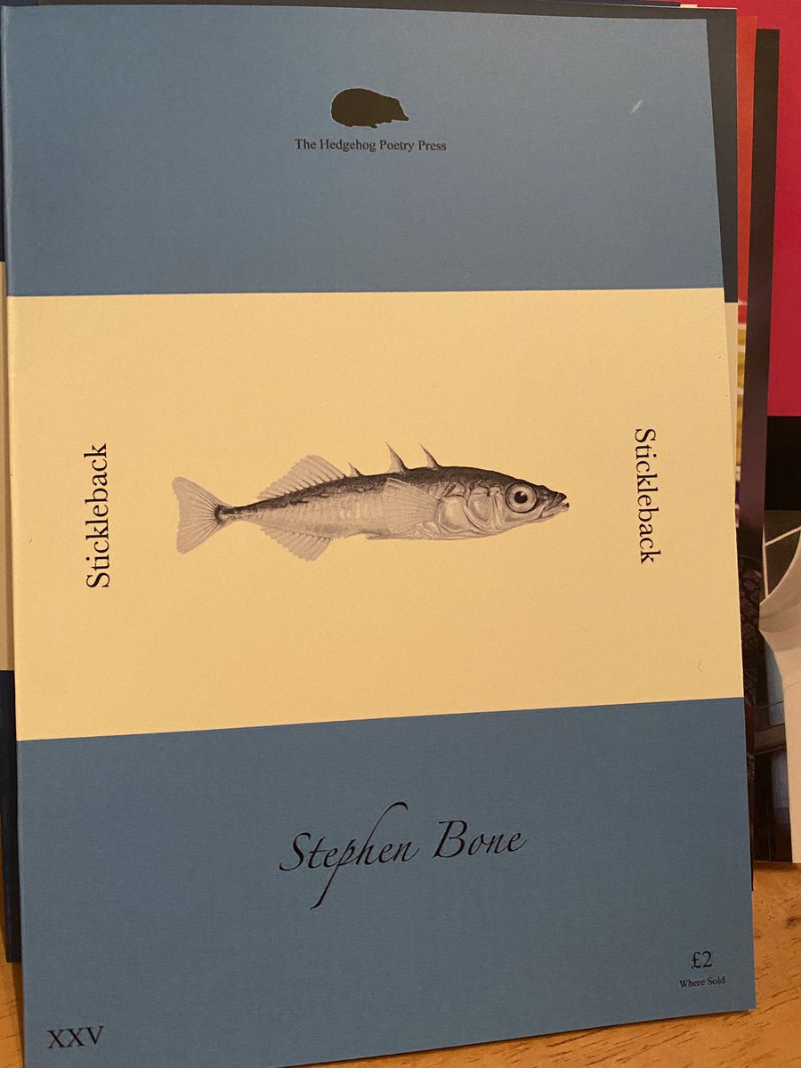 EatTheStorms's tweet photo. Today’s final close-up of the feast of poetry that flooded Lusk this morning comes from #poetry #podcast beloved returning guest @PMOsborneWriter and her #poetry conversation pamphlet with #MaureenCullen & also from @hedgehogpoetry @iudinwrites and #StephenBone https://t.co/rlENMcQTM1