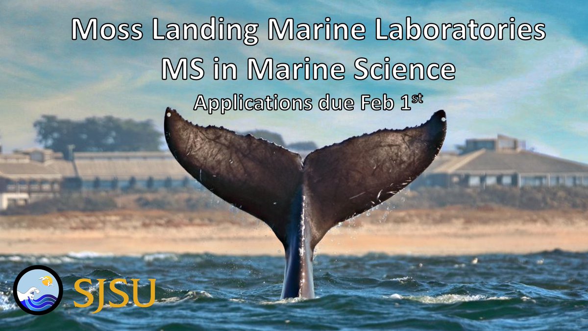 We are officially accepting applications for the Moss Landing Marine Laboratories MS in Marine Science program for fall 2022! 🌊📚

The MLML graduate program is administered by <a href="/SJSU/">San José State University</a> and dedicated to excellence in education and research. Learn more: mlml.sjsu.edu/gradprog/about/