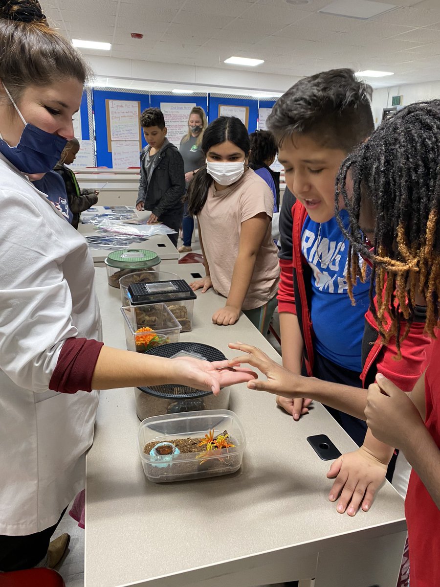 BeverlyAtsma's tweet photo. Exploring classification of vertebrates and invertebrates with 5th grade! @oges_fifth @OGESeagles @CherokeeSchools #CCSDSTEAM https://t.co/0yYAFRC7ao