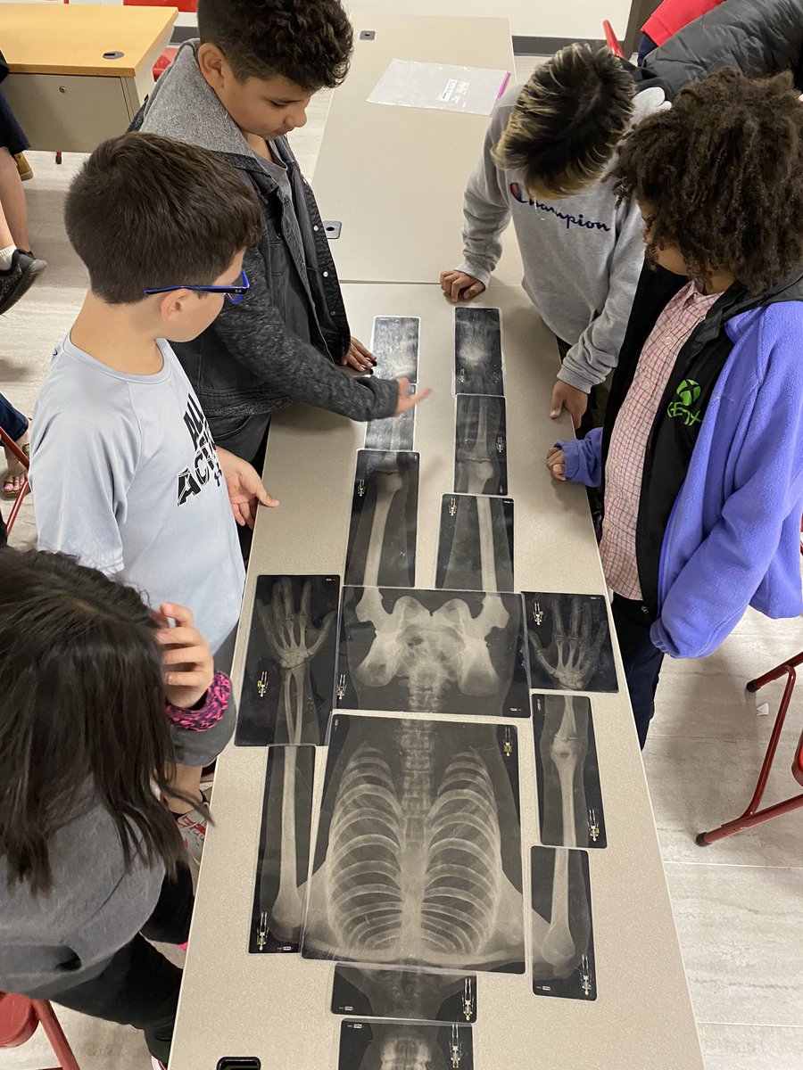 BeverlyAtsma's tweet photo. Exploring classification of vertebrates and invertebrates with 5th grade! @oges_fifth @OGESeagles @CherokeeSchools #CCSDSTEAM https://t.co/0yYAFRC7ao