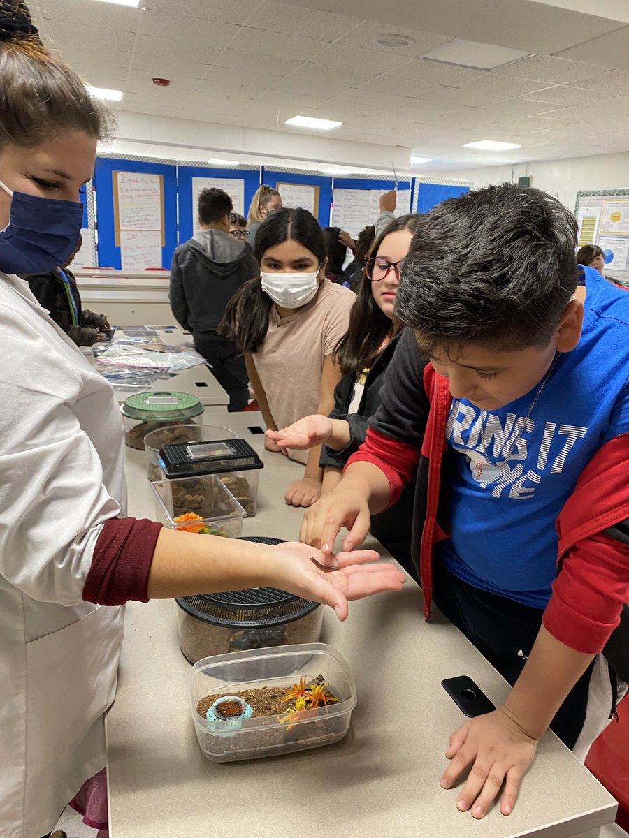 BeverlyAtsma's tweet photo. Exploring classification of vertebrates and invertebrates with 5th grade! @oges_fifth @OGESeagles @CherokeeSchools #CCSDSTEAM https://t.co/0yYAFRC7ao
