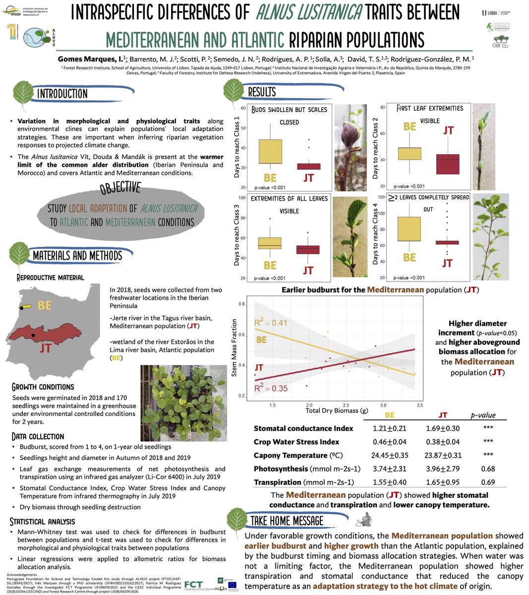 CEF_Research's tweet photo. New CEF work: Intraspecific differences of Alnus lusitanica traits between Mediterranean and Atlantic riparian populations
Read the full work 👉https://t.co/lL8eHXGuFs
#CEF #forest #research #alnus #ALNUS #SEFS12 @isagronomia @ULisboa_ https://t.co/a9qiPSYBSg
