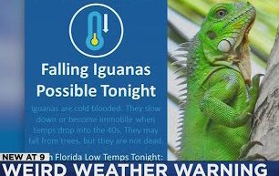 !! SALE !! 
DomesticPlatypus.com

20% OFF Orders of $150+ w/code FALLFIRST-20

10% OFF Orders of $100+ w/code FALLFIRST-10

40% OFF All Flags w/code FALLFLAGDEAL

#Sale #Coupons #giftideas #giftguide #HolidayShopping #Gifts #ChristmasisComing