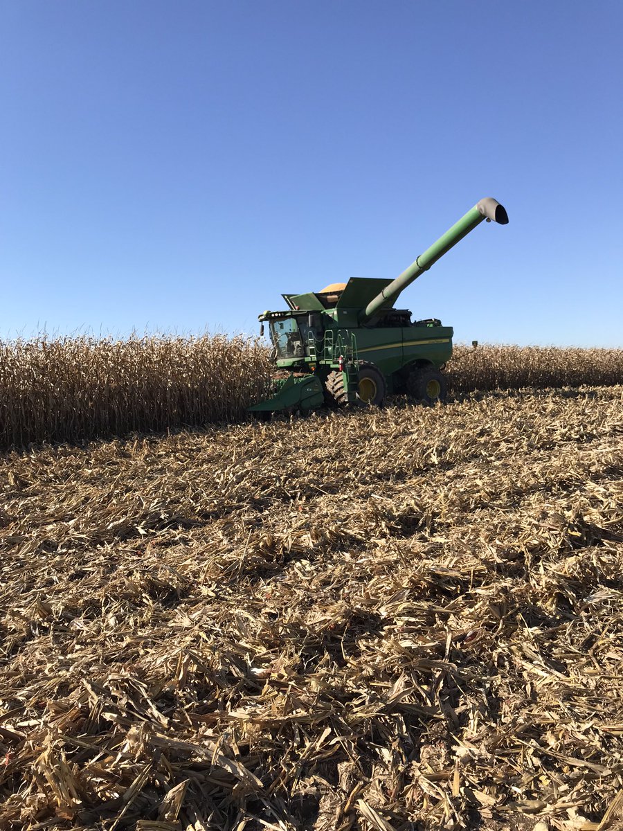 Trevshep3's tweet photo. What a beauty day for corn #awayswaiting https://t.co/cqfH3hGWjP