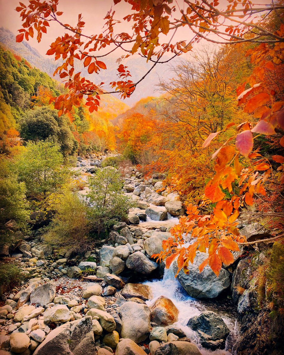 fabienland's tweet photo. L’automne en Corse…
#automne #corse #corsica https://t.co/HdXkz8KDJw