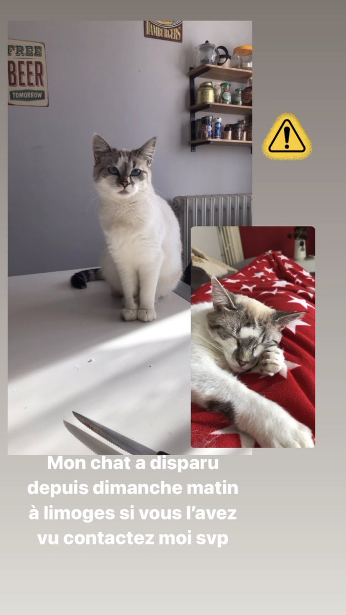 lolaroche871's tweet photo. Si vous l’avez vu contacté moi svp je suis sur limoges merci https://t.co/R6uUpvEcFg