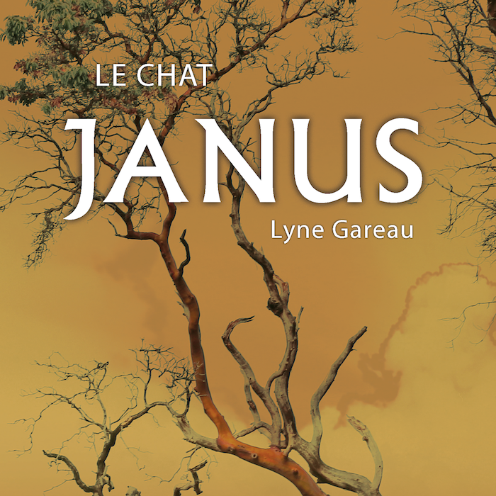 Lyne Gareau remporte le Prix littéraire Gérald-Moreau - mailchi.mp/77a1ec248d58/l…