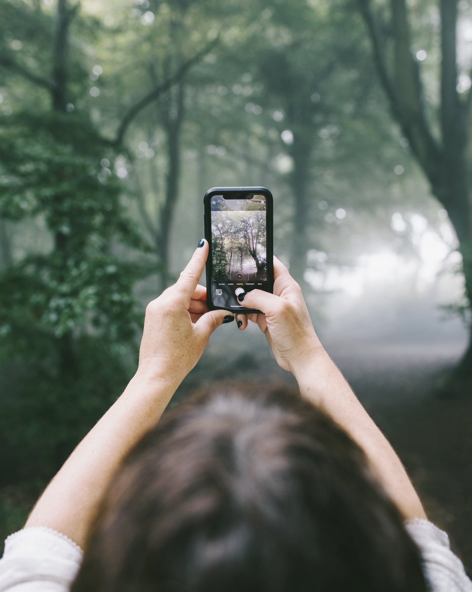 I’m endlessly fascinated by the impulse to capture a moment. instagram.com/p/CWBkVLmoRyU/… 📷 by <a href="/xantheberkeley/">xanthe berkeley 💙</a> 💚