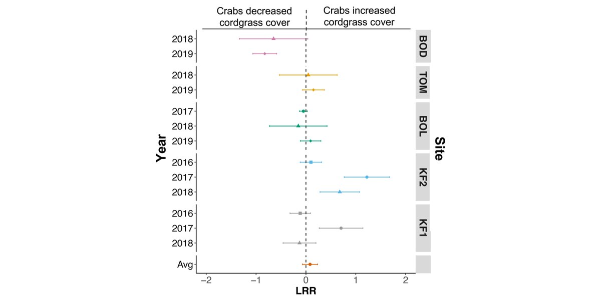 From our Coastal &amp; #MarineEcology track:

When are #crabs good for #saltmarsh plants - and when are they not? New research considers grazing pressure &amp; soil properties

doi.org/10.1002/ecs2.3…

#Cordgrass #BML #CMIL #OpenAccess 

<a href="/janbwalker/">Jan Walker</a> <a href="/ucd_cmsi/">UC Davis Coastal and Marine Sciences Institute</a> <a href="/SDSUResearch/">SDSU Research</a> <a href="/sdsucmil/">sdsucmil</a>