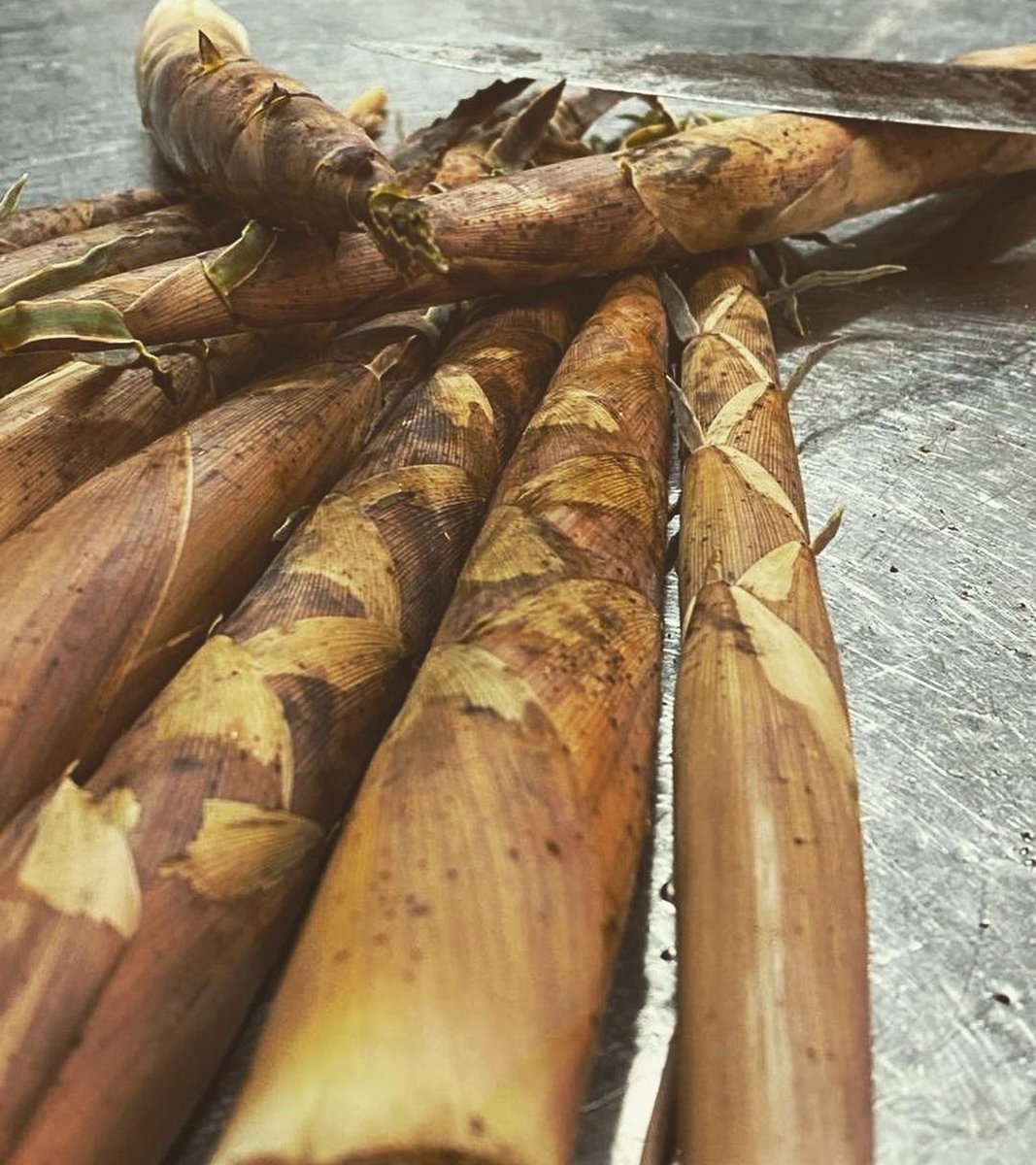 _floreal's tweet photo. 🎋Los Brotes de Bambú son muy populares en la cocina asiática. Descubrimos este producto y nos pareció fascinante 👉🏼
Elaboramos utilizando materia prima local y fresca, estamos muy contentos con los resultados 🎋
Conocías este alimento ? 
Nos vemos el Viernes 🛎
#exoticfoods 🌸 https://t.co/GxtJHb98hl