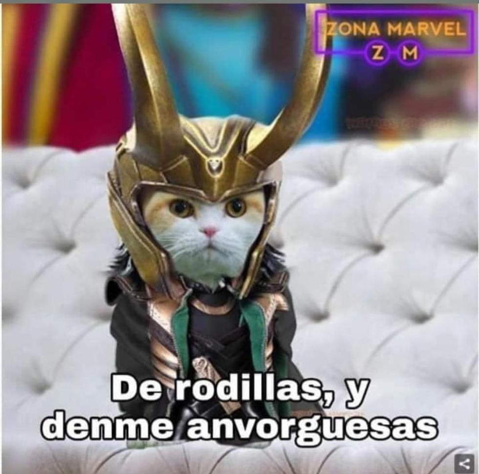 ᴇᴠᴇʟʏɴ ᴊᴏʜɴsᴏɴ. (@iiwarnurse) on Twitter photo 