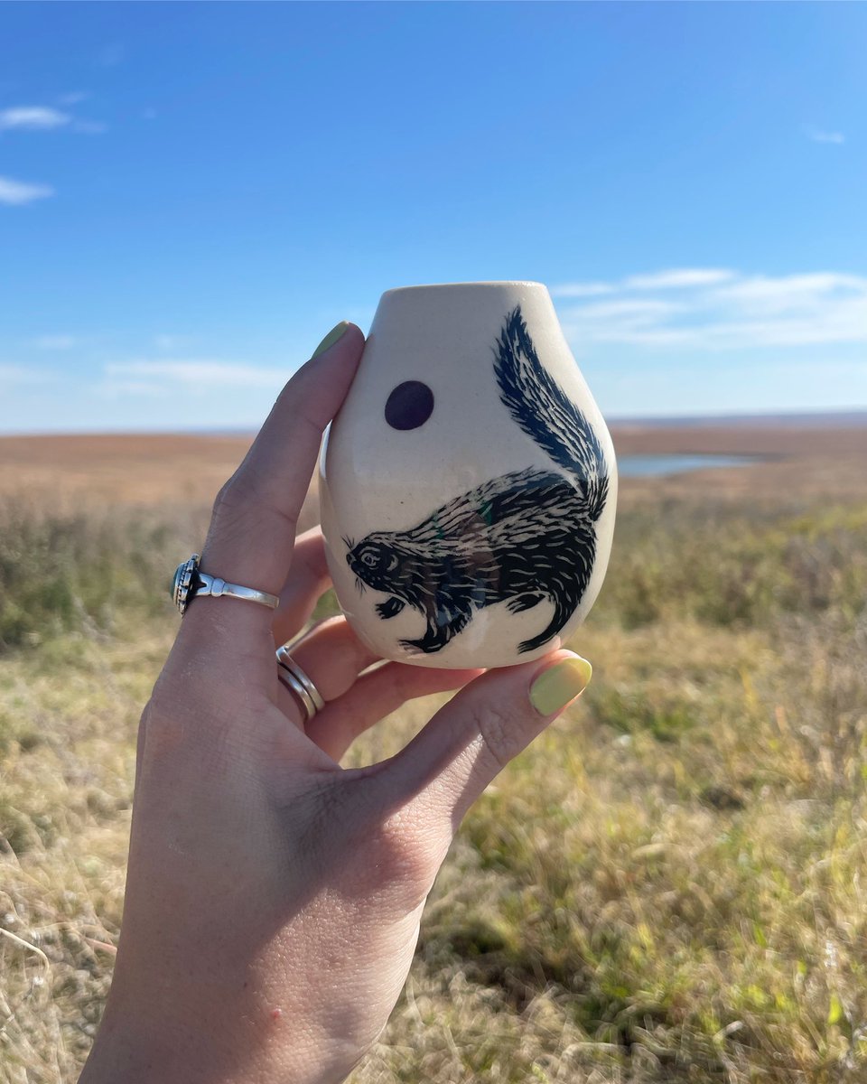 MaeveHilgers's tweet photo. Animals on the Flint Hills ! 🌾 https://t.co/Aomu6HVeEX