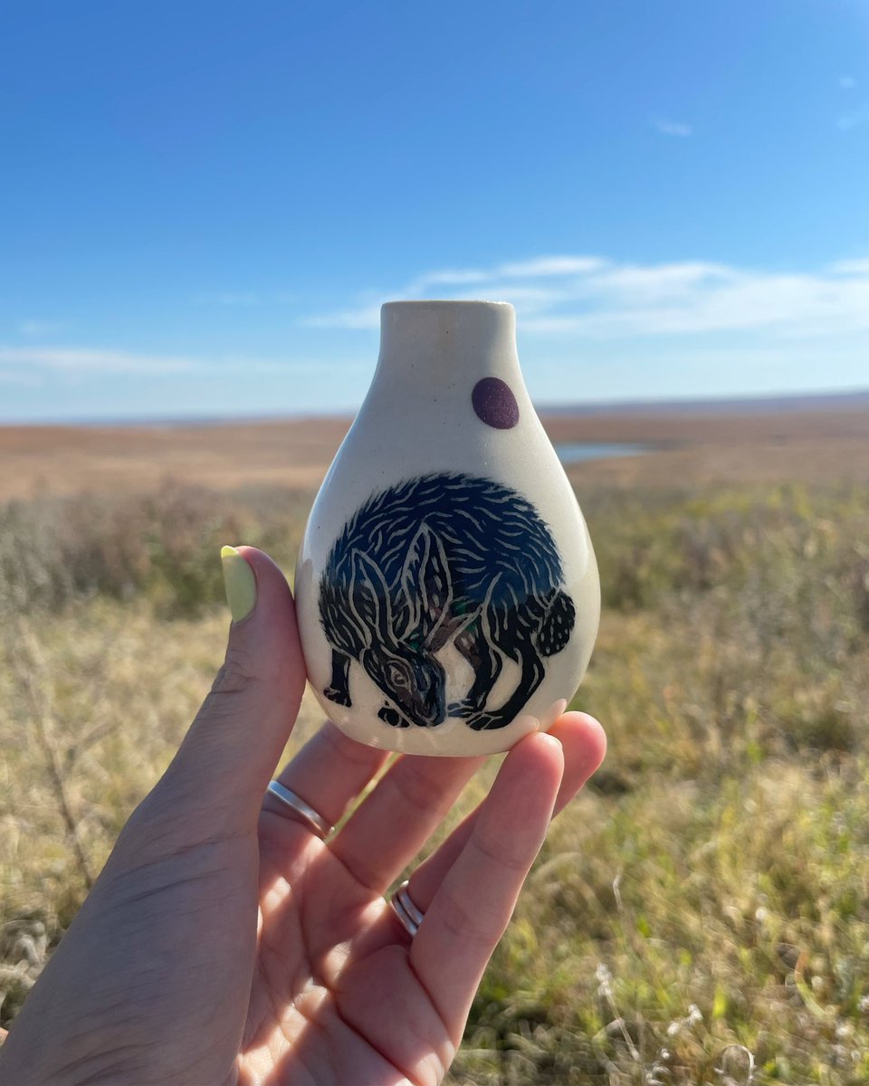 MaeveHilgers's tweet photo. Animals on the Flint Hills ! 🌾 https://t.co/Aomu6HVeEX