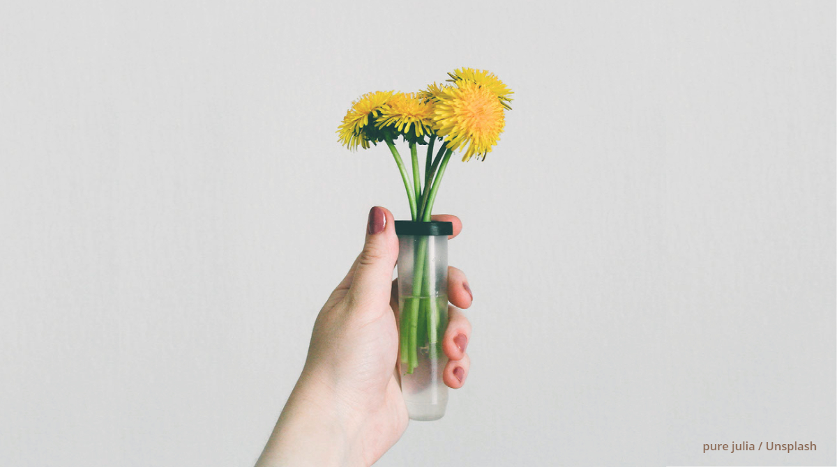 BradfordSoap's tweet photo. Though they may be a nuisance in the yard, #dandelions are an excellent option for your bar of #soap. Medical News Today states that this #flowering weed contains beta-carotene, an #antioxidant known to reduce #celldamage. They may even protect against #sundamage. https://t.co/R5BaXnUfIv