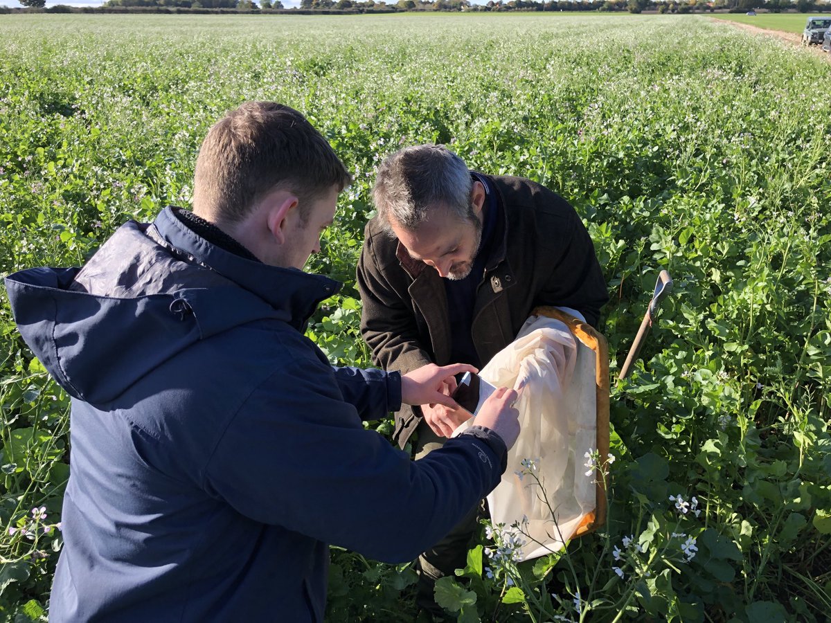SustEnvFarming's tweet photo. So last week was about demonstrating how #farming can help #carbon #food #biodiversity #soilhealth on farm @SustainableLsps
This week is more about how we scale up, deliver more benefits and de-myth some of the narratives
#netzero #pledge2040 @NFUtweets
#COP26 https://t.co/FTHqSxuycx