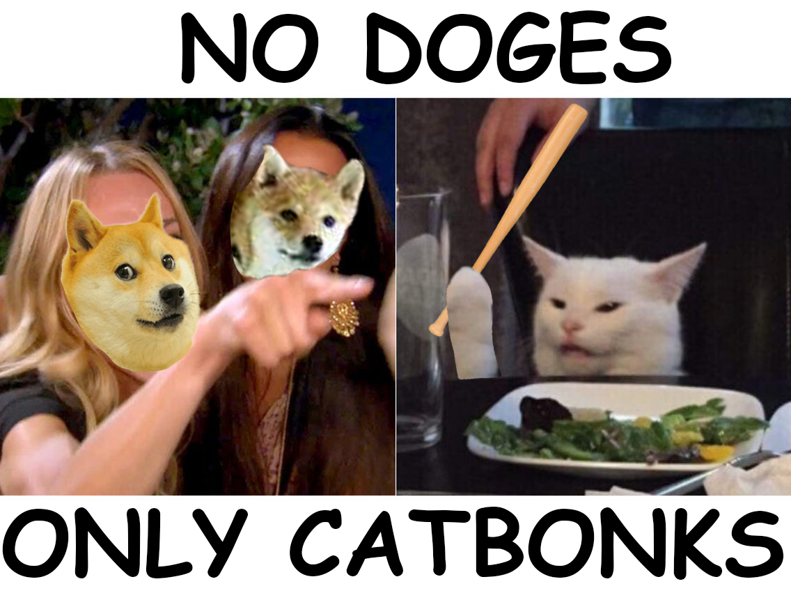 CatBonk1's tweet photo. @elonmusk @BrianFeroldi @joerogan @elonmusk GET THAT CAT A BAT THIS INSTANT! #meow   

https://t.co/vJSv04Dux8

$CABO $DOBO $FLOBO $DOGE $SHIB #cabo #catbonk #dobo #dogebonk #flokibonk #dogecoin #doge #shib #shiba #memecoins #floki $floki https://t.co/263NtAr05L