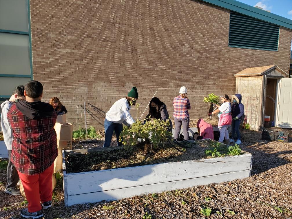 stemacademylps's tweet photo. STEM students, parents, and staff worked with Mill City Grows to do a garden clean-up last week after school. Thanks to all that participated in this great activity!! https://t.co/03HXbKp1TY