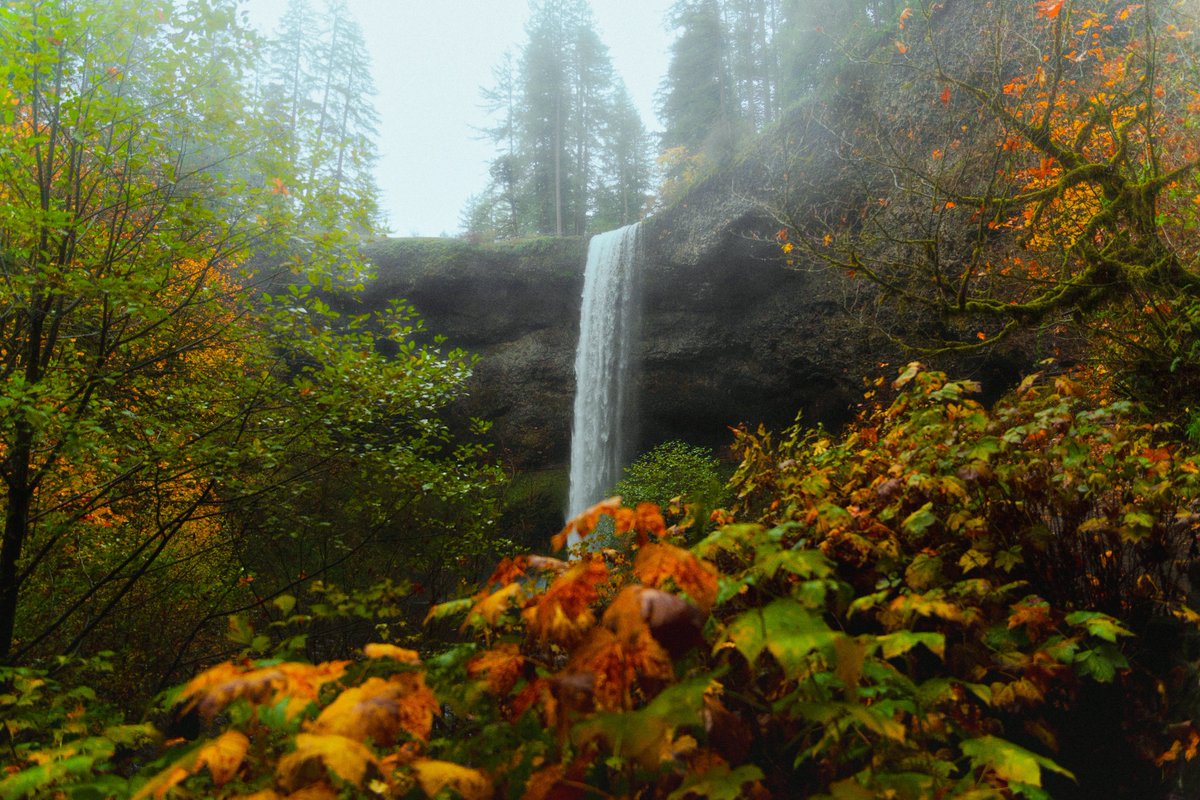 alexxhinson's tweet photo. fall in oregon https://t.co/kERM7BuHW5