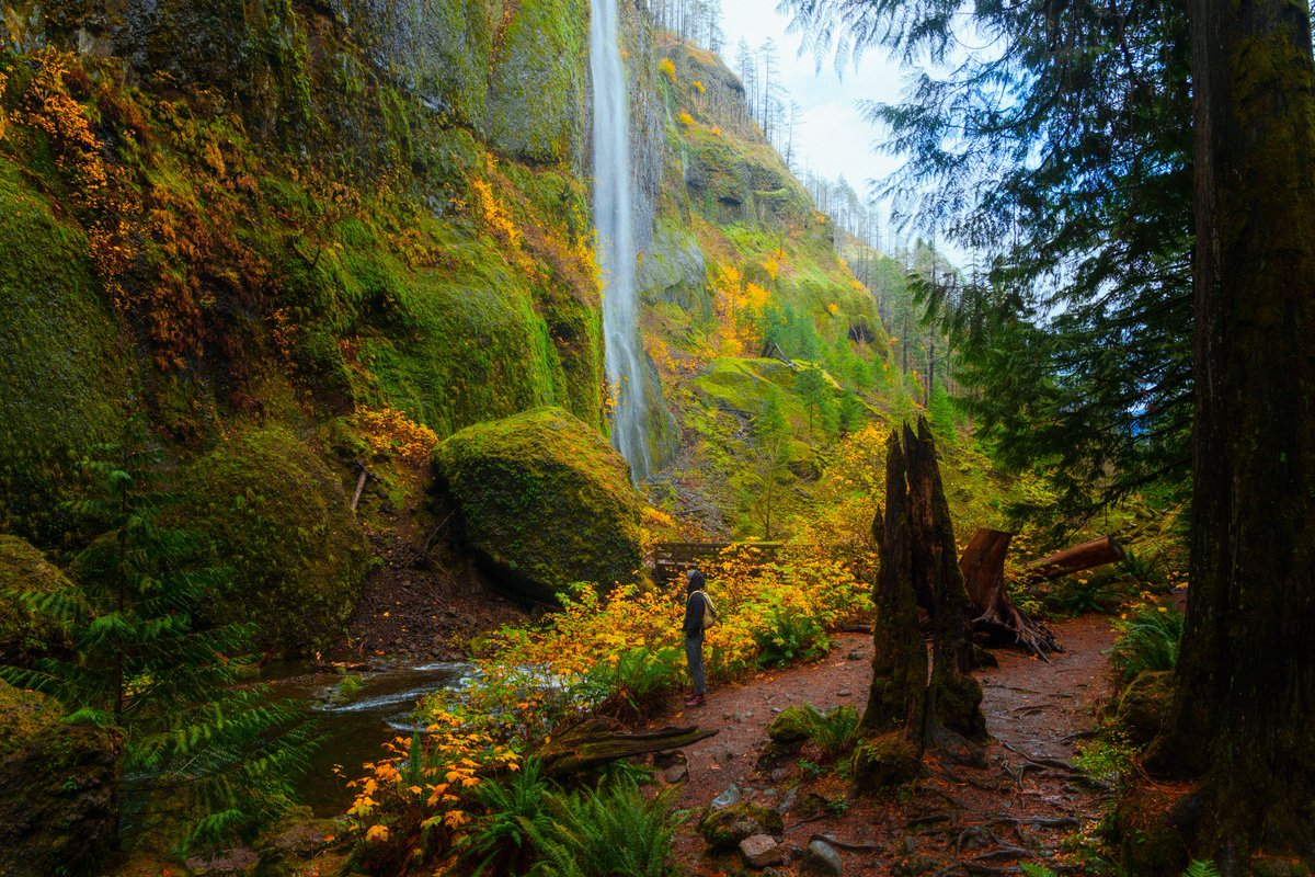 alexxhinson's tweet photo. fall in oregon https://t.co/kERM7BuHW5