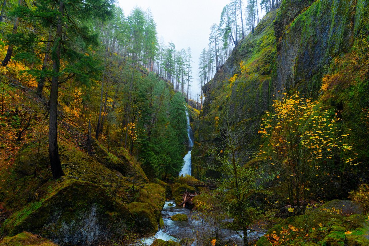 fall in oregon