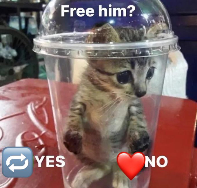 Help me !