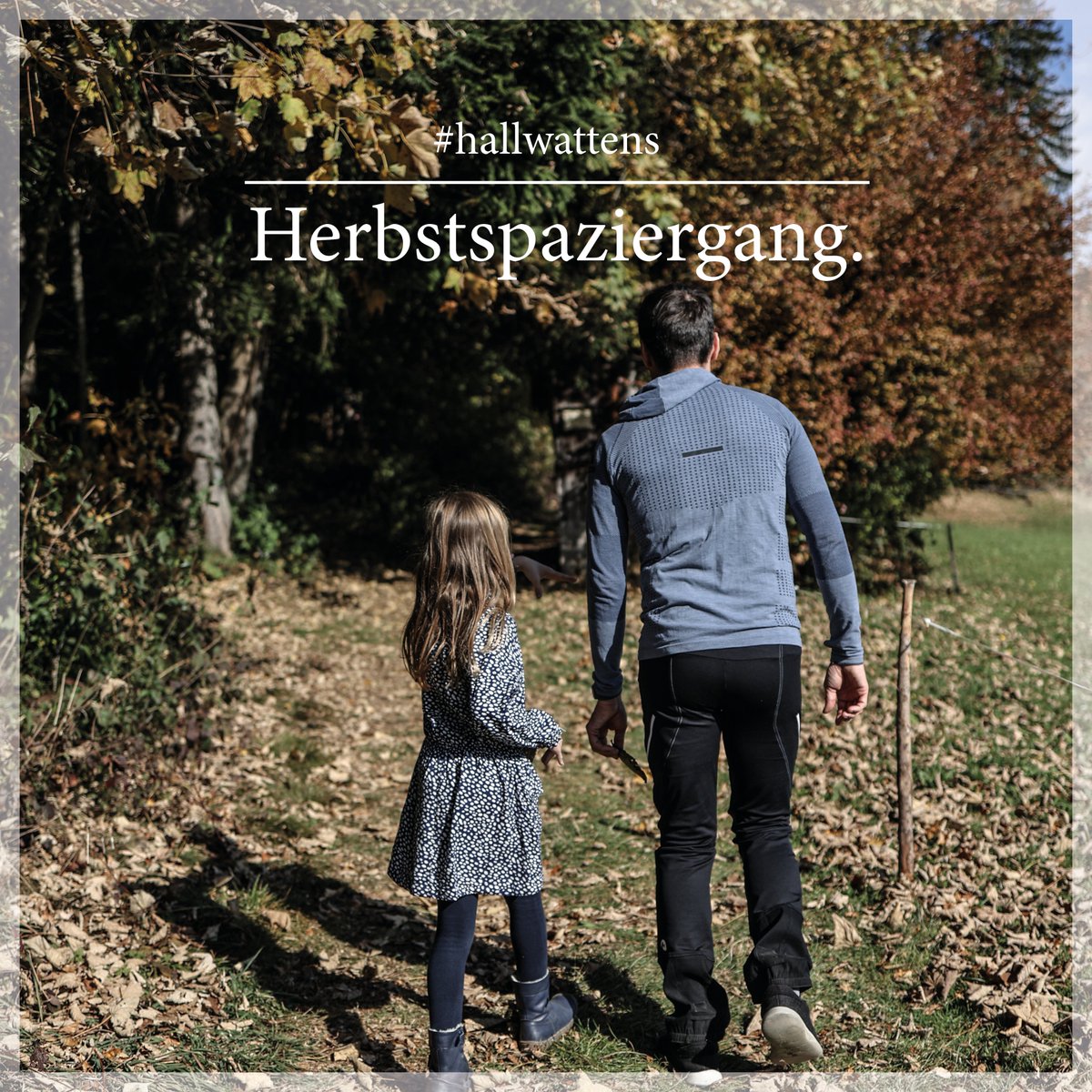 hallwattens's tweet photo. Was gibt es zurzeit Schöneres? #GoldenerHerbst #Tirol #hallwattens https://t.co/EfcUhj6lBc