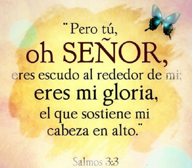 Siddonid Bardellini (@siddonid_bardel) on Twitter photo 