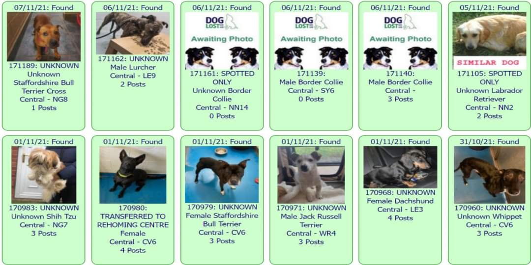 marie_kate2's tweet photo. Recent unclaimed dogs in Central area. C/O #DogsLost. https://t.co/WL7CAWxhvZ