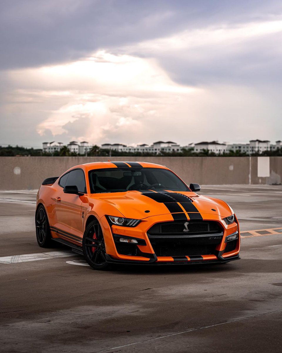 addict_auto's tweet photo. Ford Mustang Shelby GT500 🧡🐍 https://t.co/PFOBoKBkkl