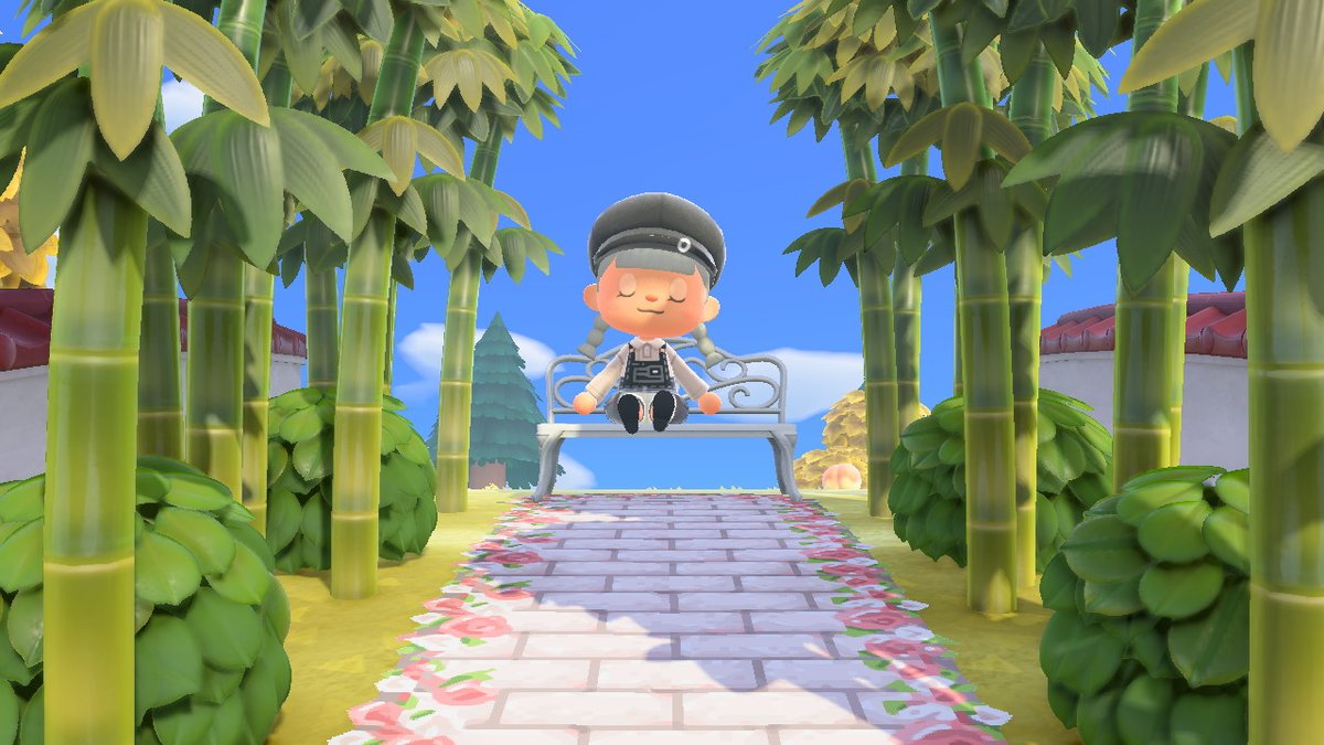 nocturtleonline's tweet photo. #AnimalCrossing #ACNH #NintendoSwitch https://t.co/B6Kr9fr07T