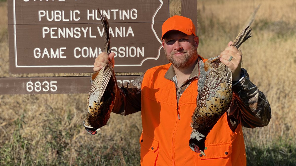 1cast1fish's tweet photo. Great day of Pheasant hunting in PA #hunting https://t.co/F8wfhmOBNW