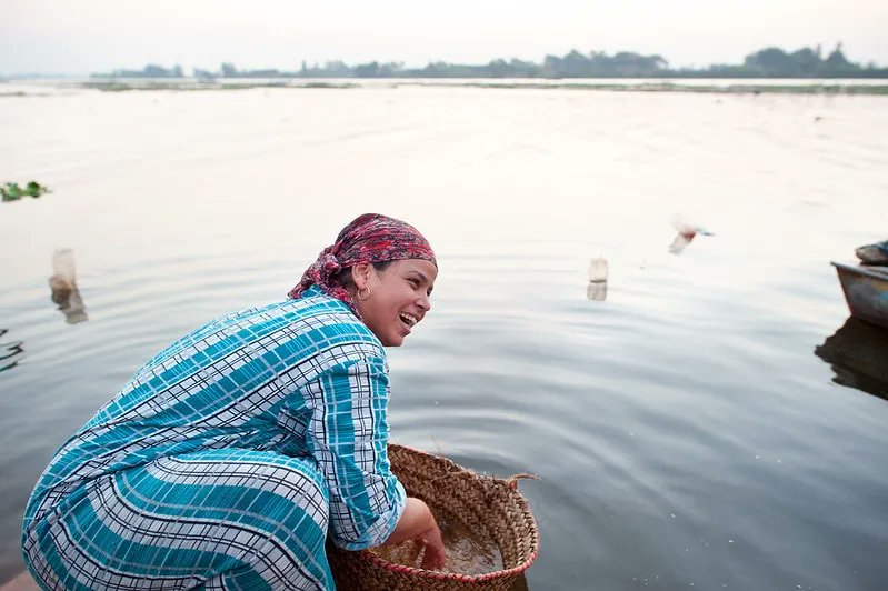 DiversityFiona's tweet photo. BREAKING NEWS FROM #COP26: @FCDOGovUK pledges $55 million over two years to boost commitments to @CGIAR research focused on solutions for climate challenges that worsen global hunger and poverty. Read more: https://t.co/yBM0jwwEOH #OneCGIAR #CGIAR4Climate https://t.co/tIi2m4daQD