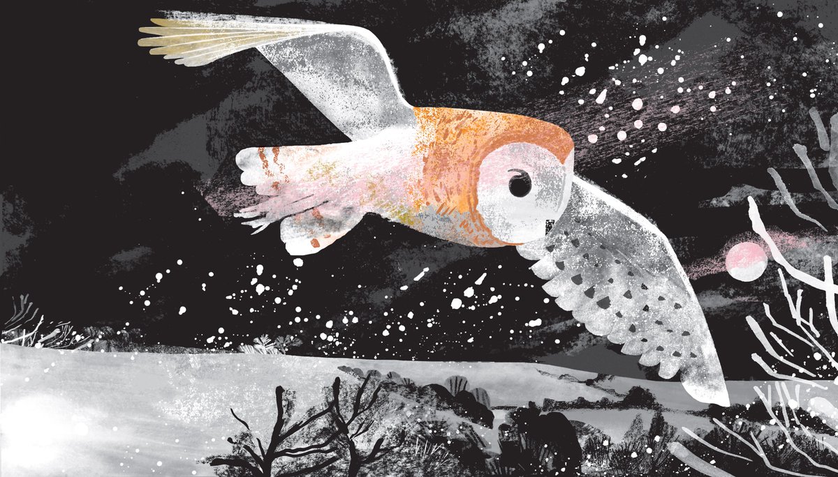 Tim Hopgood (@timhopgood) on Twitter photo Not your typical Monday. Thrilled to see 'My Big Book of Outdoors' @BIGPictureBooks <a href="/ClaireCartey/">Claire Cartey</a>
nominated for the 2022 @CILIPCKG Kate Greenaway Medal. Proud to be amongst such vibrant company. #CKG22 Not your typical Monday. Thrilled to see 'My Big Book of Outdoors' @BIGPictureBooks <a href="/ClaireCartey/">Claire Cartey</a>
nominated for the 2022 @CILIPCKG Kate Greenaway Medal. Proud to be amongst such vibrant company. #CKG22