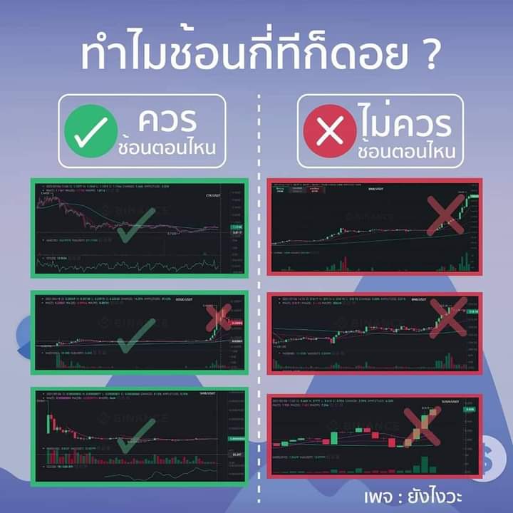 ลงทุนกับหวย tweet media