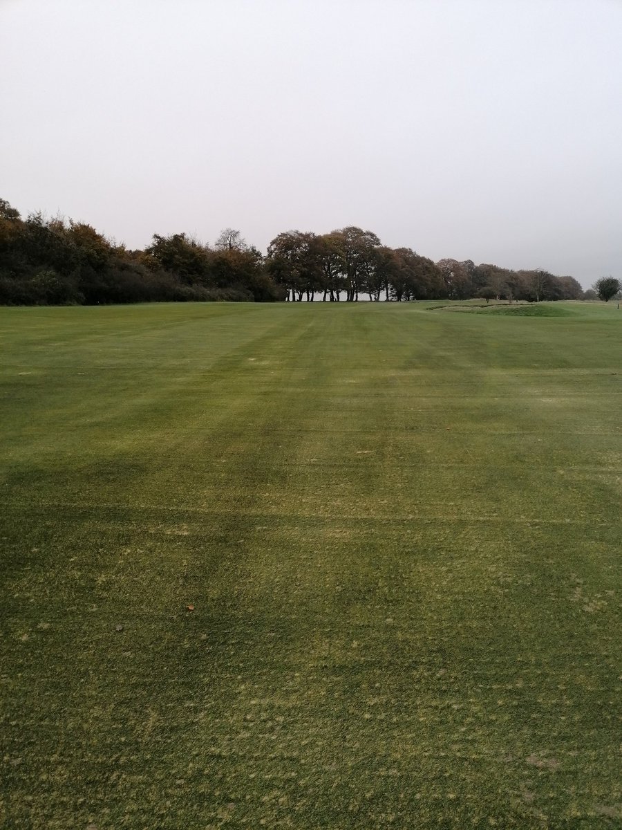 James Solloway tweet media