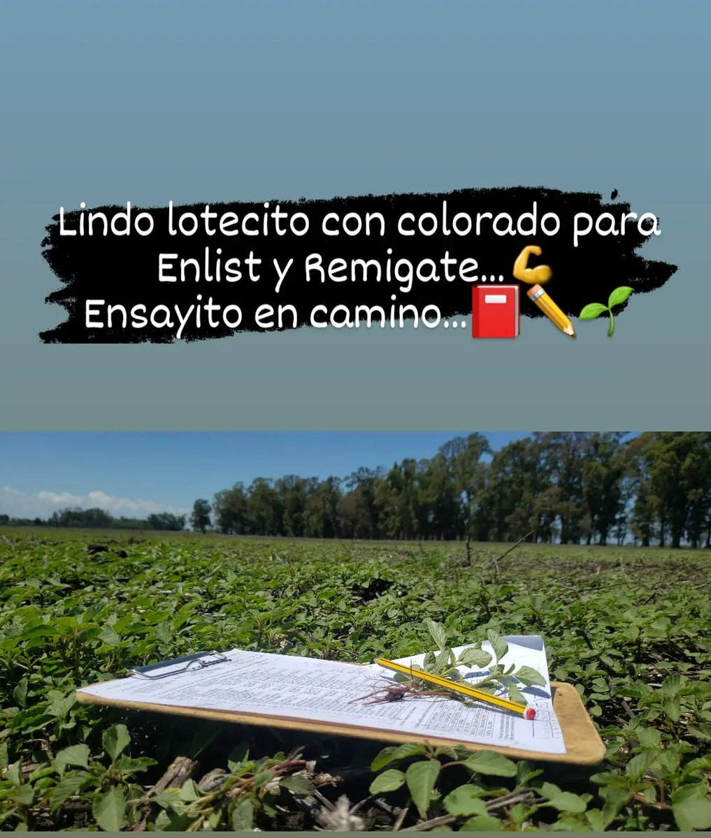 AnaAnaventu's tweet photo. ¡Lote festín para ensayo! Se vienen #Remigate y #Enlist de @CortevaARG 🌱✏📕🌱 https://t.co/0MebLCe636