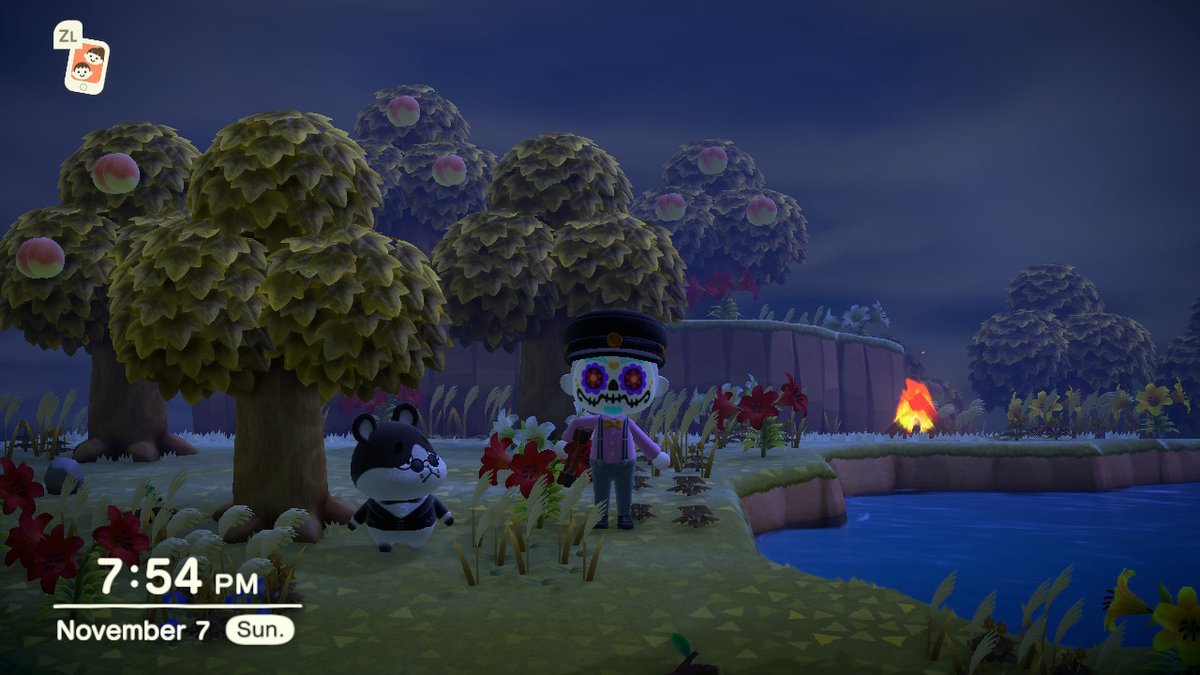 robbieXeff's tweet photo. #AnimalCrossing #ACNH #NintendoSwitch https://t.co/7tCIOT52yD