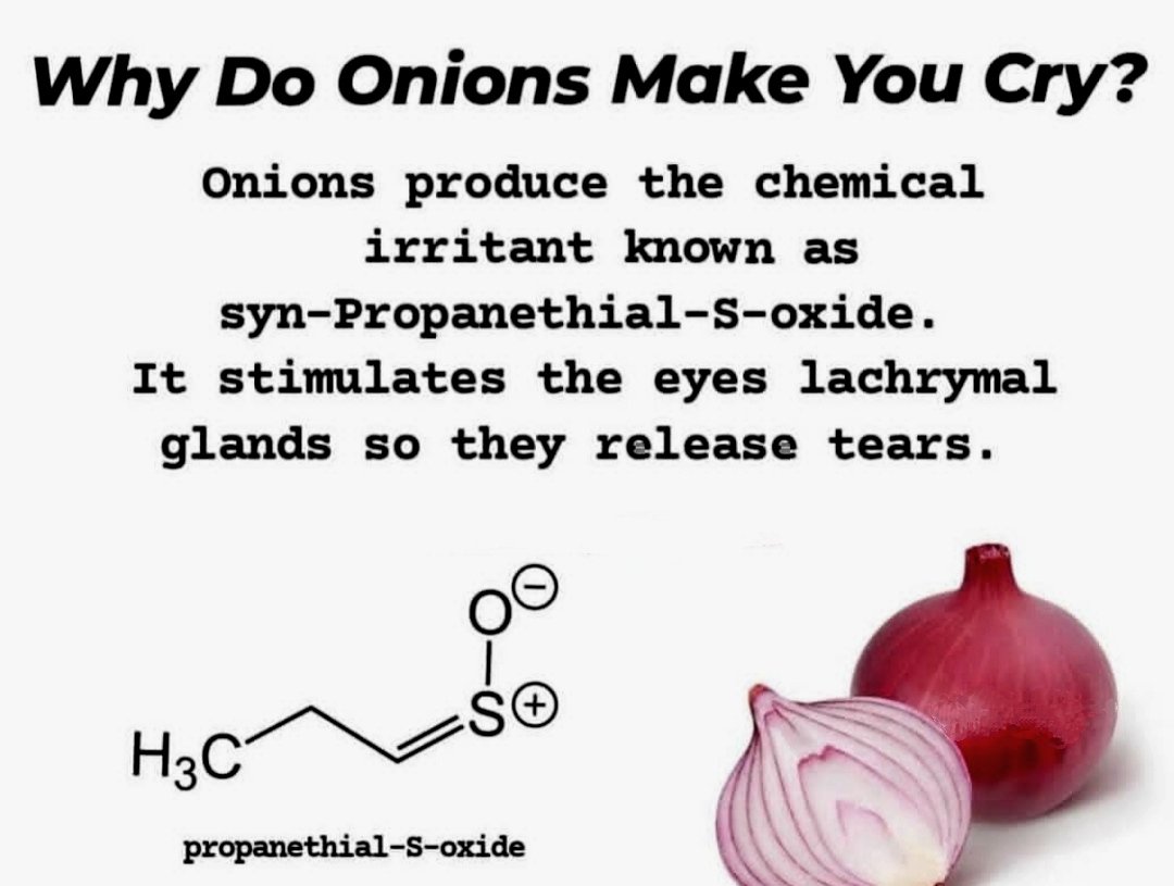 TheScienceBytes's tweet photo. #chemistry #chemistry of #ONION
#irritant #phytochemistry #nature
#science #scienceBytes https://t.co/165xe8Kkef