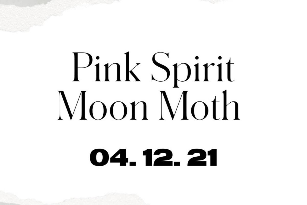MOTHstudios's tweet image. 🎄04.12.21🎄

Discover the basics of preparing, setting &amp;amp; preserving a series of amazing specimens, including the highlight of the event ... The Pink Spirit Moon Moth! 🌙💗✨

Ticket link (only 4 left 👀)
mothstudios.co.uk/class/pink-spi…
#NE1 #Newcastle #events #Christmas2021 #NorthEast