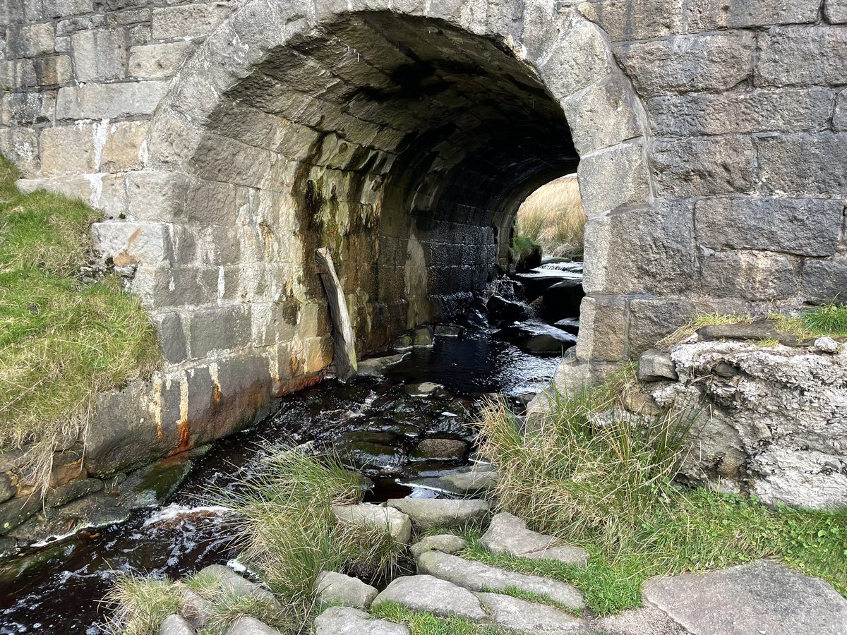 Emily May • 23 (@emchallissg) on Twitter photo 💙 Level 2 Hillwalking Training Weekend with <a href="/hertsguideswalk/">Herts Guides Walking</a> and <a href="/gguidinganglia/">Girlguiding Anglia</a> in the Peak District!
Met lots of new people 🤝, enhanced and developed my navigation skills 🧭 and some stunning views! ⛰
Stanage Edge • Totley Moor • Burbage Rocks 💙 Level 2 Hillwalking Training Weekend with <a href="/hertsguideswalk/">Herts Guides Walking</a> and <a href="/gguidinganglia/">Girlguiding Anglia</a> in the Peak District!
Met lots of new people 🤝, enhanced and developed my navigation skills 🧭 and some stunning views! ⛰
Stanage Edge • Totley Moor • Burbage Rocks