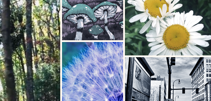 Have you tuned in to our Community #Flowcase recently? 

Explore work from our featured artists to date at openskycs.org/news-events/ev…

Stay tuned for our next artist on Friday!