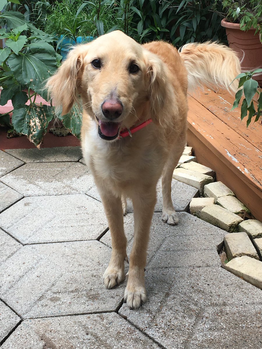 E. Sloan tweet media