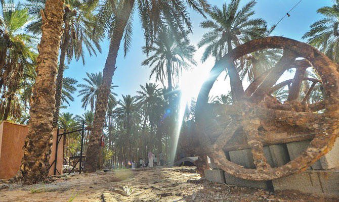 KSAForUNESCO's tweet photo. #Breaking 👏 Congratulations to #Buraidah in central #SaudiArabia, recognized by @UNESCO for its remarkable #gastronomy, becoming the Kingdom's second city to join #UNESCO's #CreativeCities network (the first being Al-Ahsa, a World Heritage Site) https://t.co/AxYdT8eqhq
