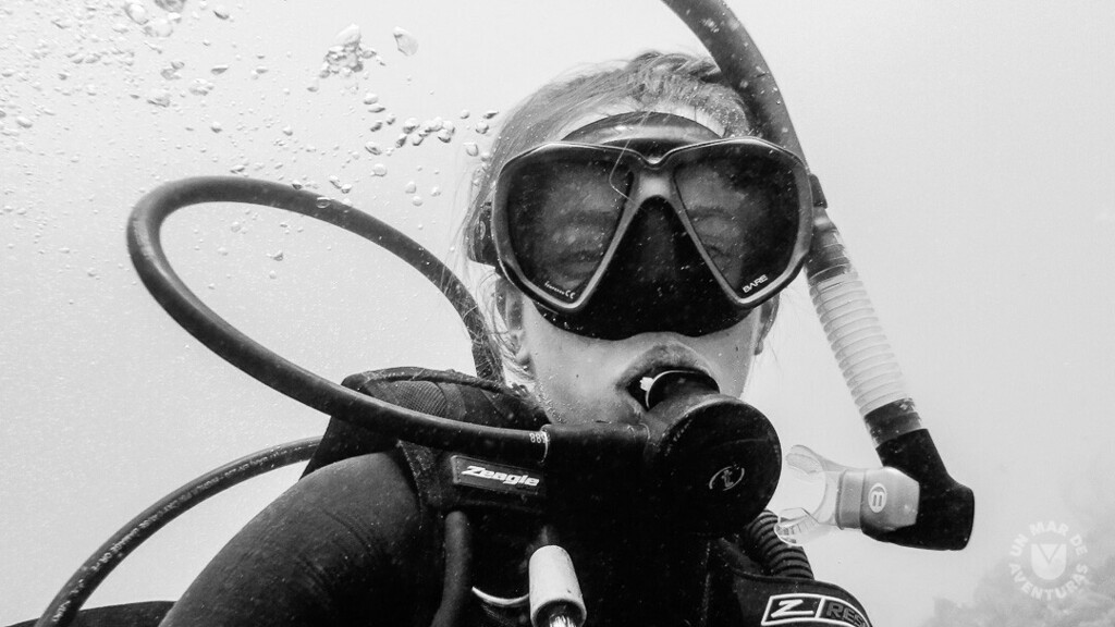AzulScuba's tweet photo. Conoce la bella bahía de #chichicrivichedelacosta tanto por debajo de superficie como por sobre ella con nosotros #VenABucear. Activos para este fin de semana.

#👌🏻AzulScuba #UnMarDeAventuras💦

#Scuba #CursosPADI #BuceoVenezuela #CursoDeBuceo #PADI #… https://t.co/hh0JWfkPOn https://t.co/Dsie2RpJZF